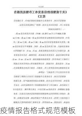 疫情报告格式规范模板