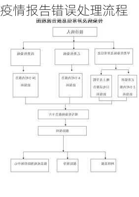 疫情报告错误处理流程