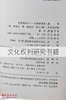 文化权利研究书籍