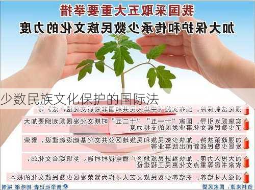少数民族文化保护的国际法
