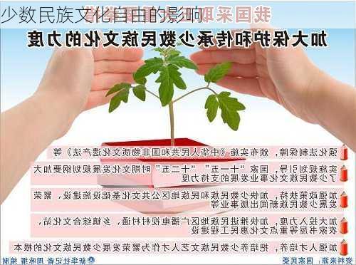 少数民族文化自由的影响