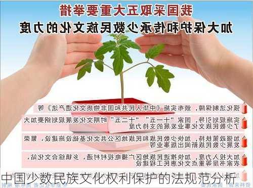 中国少数民族文化权利保护的法规范分析