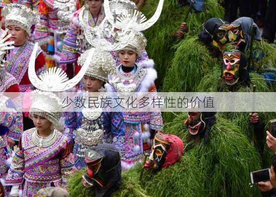 少数民族文化多样性的价值