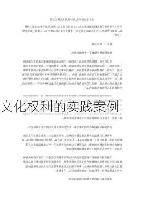 文化权利的实践案例