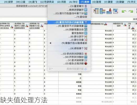 缺失值处理方法