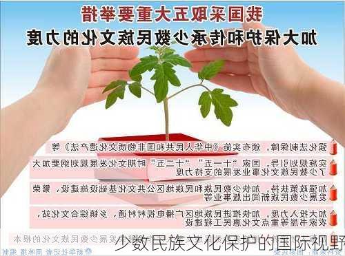 少数民族文化保护的国际视野