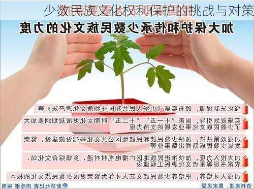 少数民族文化权利保护的挑战与对策