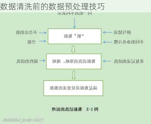数据清洗前的数据预处理技巧