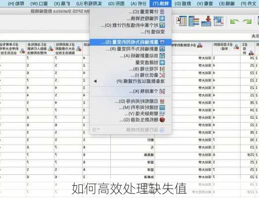 如何高效处理缺失值
