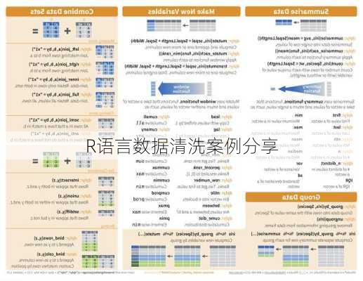 R语言数据清洗案例分享