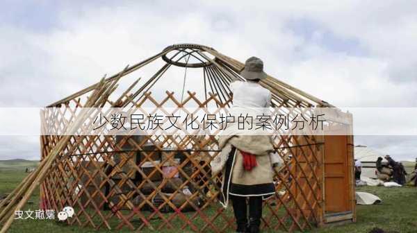 少数民族文化保护的案例分析