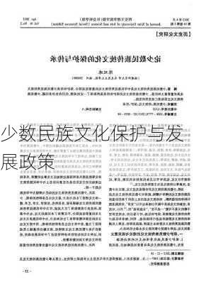 少数民族文化保护与发展政策