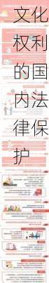 文化权利的国内法律保护