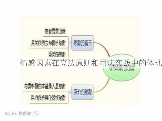 情感因素在立法原则和司法实践中的体现