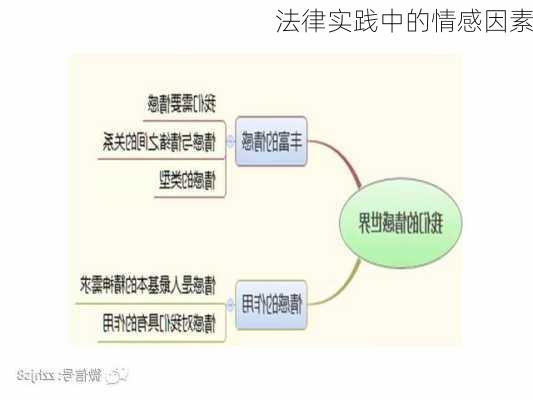 法律实践中的情感因素