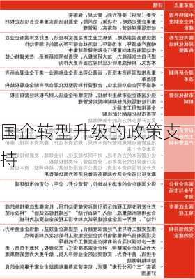 国企转型升级的政策支持
