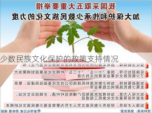 少数民族文化保护的政策支持情况