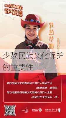 少数民族文化保护的重要性