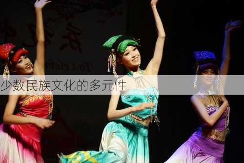 少数民族文化的多元性