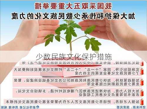 少数民族文化保护措施