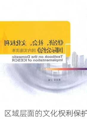 区域层面的文化权利保护