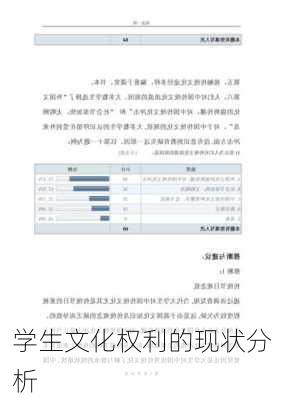 学生文化权利的现状分析