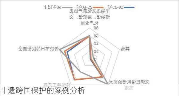 非遗跨国保护的案例分析