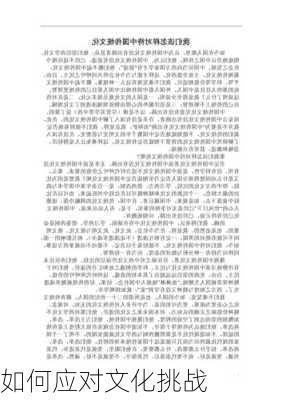 如何应对文化挑战