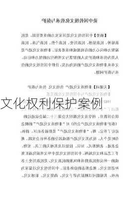 文化权利保护案例