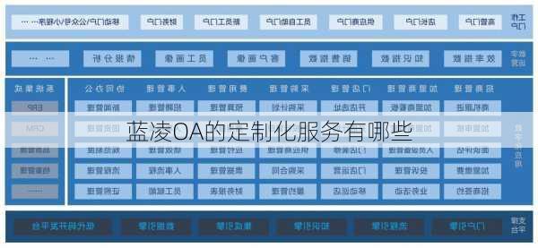 蓝凌OA的定制化服务有哪些