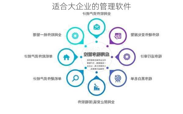 适合大企业的管理软件