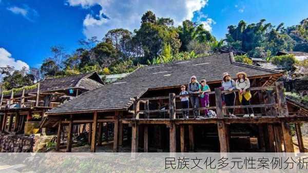民族文化多元性案例分析