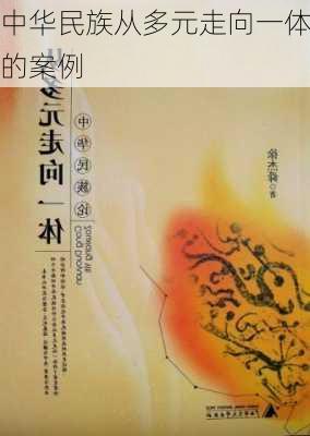 中华民族从多元走向一体的案例