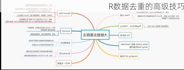R数据去重的高级技巧
