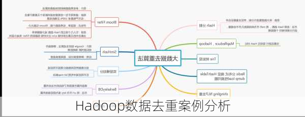 Hadoop数据去重案例分析
