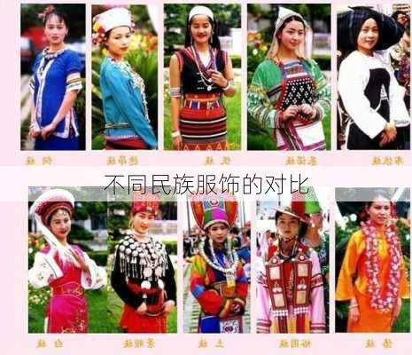 不同民族服饰的对比