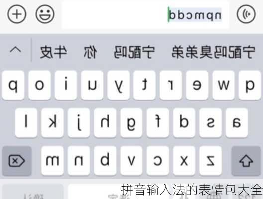 拼音输入法的表情包大全