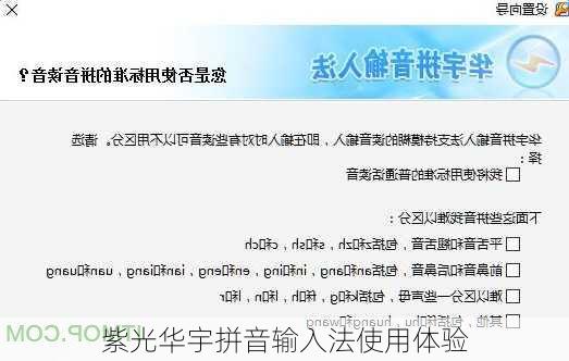 紫光华宇拼音输入法使用体验