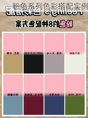 粉色系列色彩搭配实例