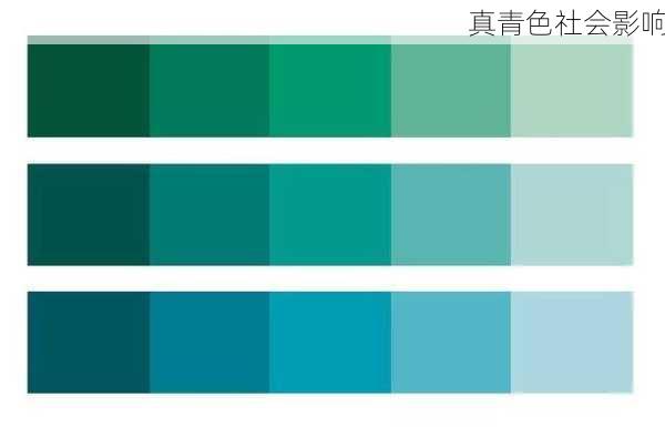 真青色社会影响