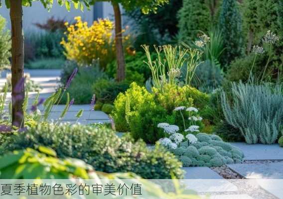 夏季植物色彩的审美价值