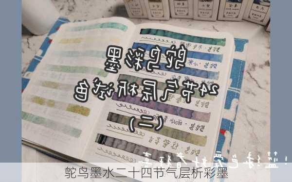 鸵鸟墨水二十四节气层析彩墨