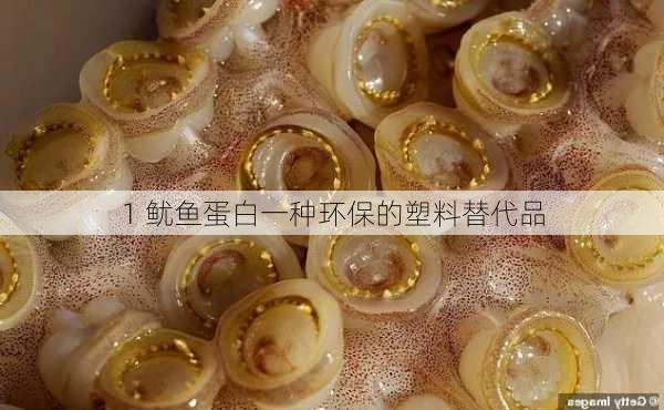 1 鱿鱼蛋白一种环保的塑料替代品