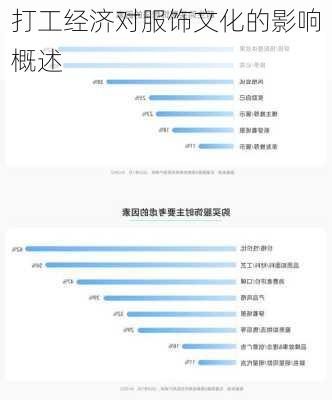 打工经济对服饰文化的影响概述
