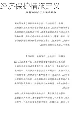 经济保护措施定义