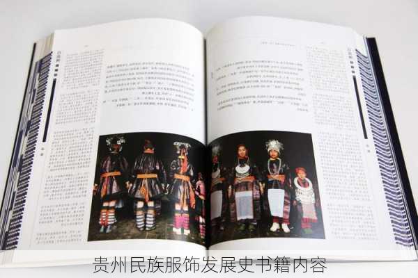 贵州民族服饰发展史书籍内容