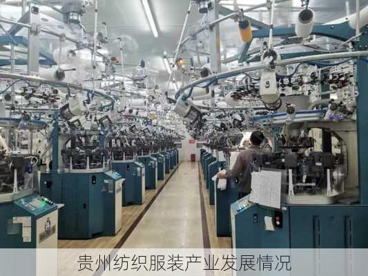 贵州纺织服装产业发展情况