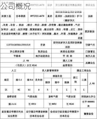 公司概况