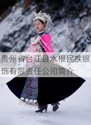 贵州省台江县水根民族银饰有限责任公司简介