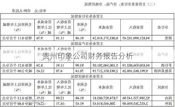 贵州印象公司财务报告分析